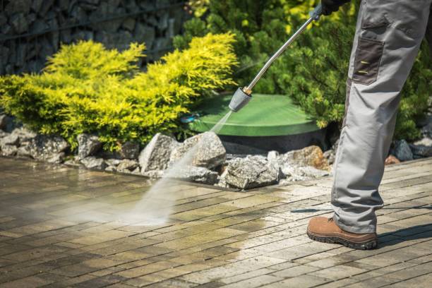 Best Dumpster Area Cleaning  in Paloma Creek, TX
