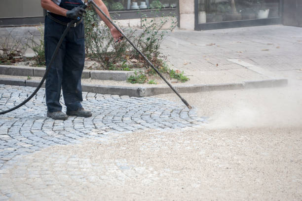 Best House Exterior Washing  in Paloma Creek, TX