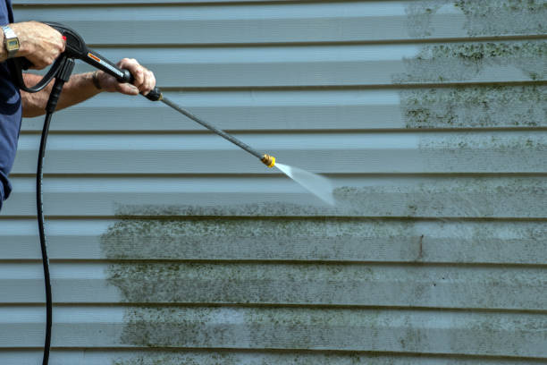 Best Driveway Pressure Washing  in Paloma Creek, TX