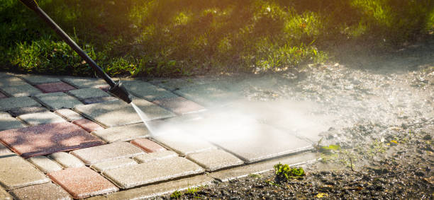 Pre-Holiday Cleaning in Paloma Creek, TX